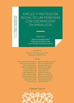 Empleo Y Proteccion Social De Las Persona Con Discapacidad