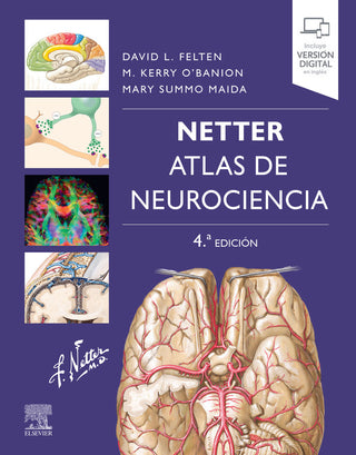 Netter Atlas De Neurociencia 4ª Ed