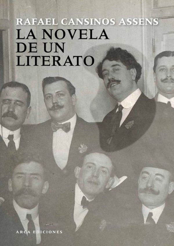 La Novela De Un Literato