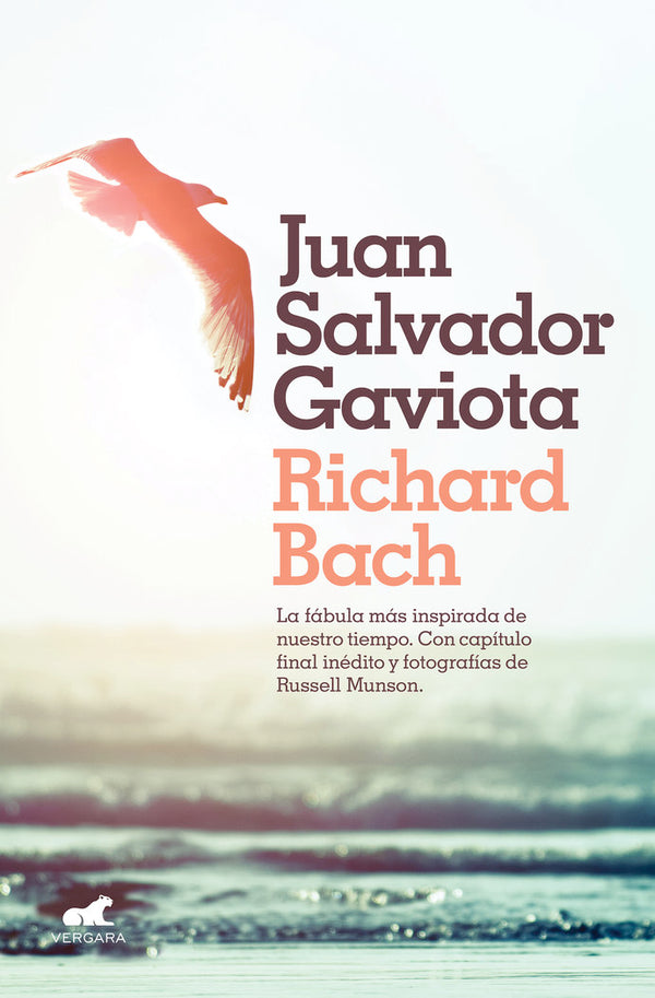 Juan Salvador Gaviota