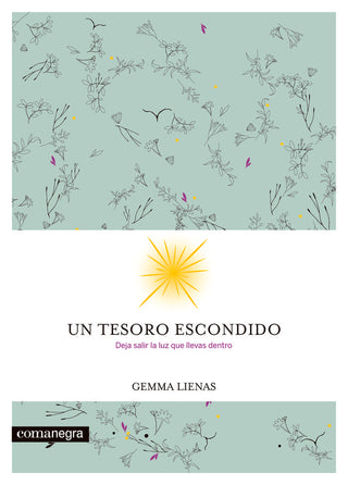 Un Tesoro Escondido