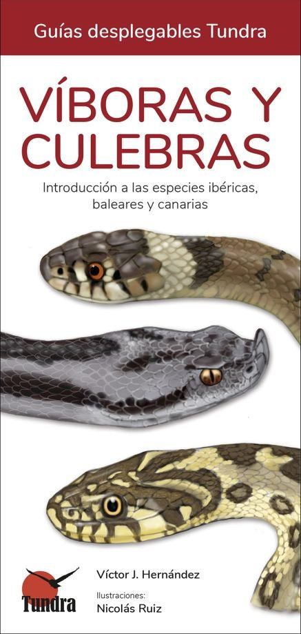 Viboras Y Culebras