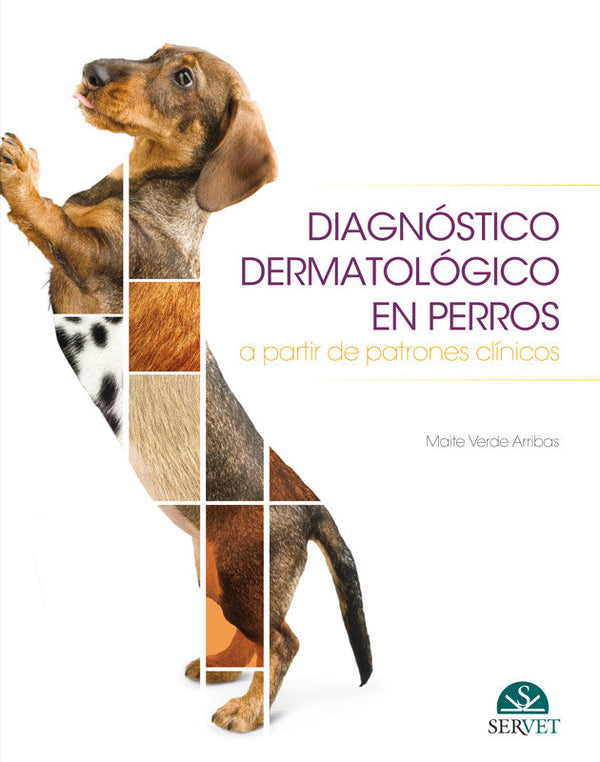 Diagnóstico Dermatológico En Perros A Partir De Patrones Clínicos