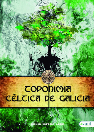 Toponimia Céltica De Galicia