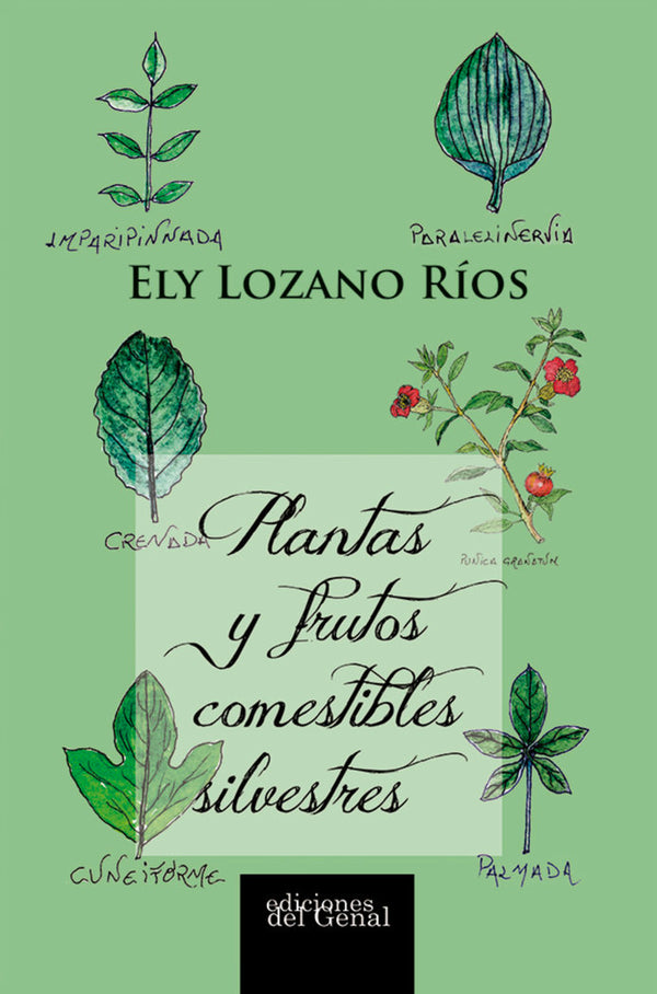 Plantas Y Frutos Comestibles Silvestres