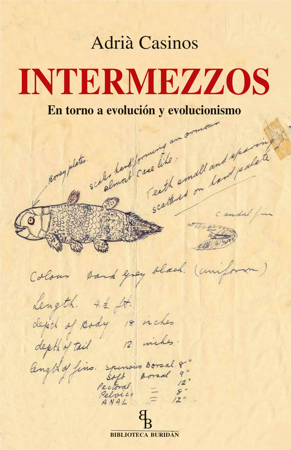 Intermezzos