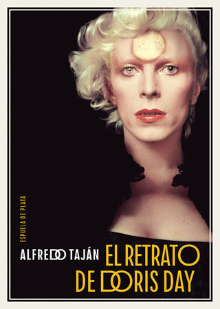 El Retrato De Doris Day