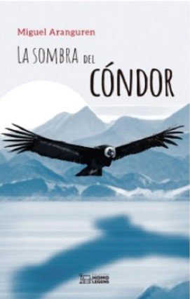 La Sombra Del Condor