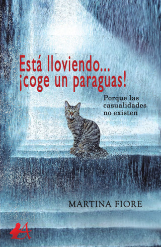 Está Lloviendo...¡Coge Un Paraguas!