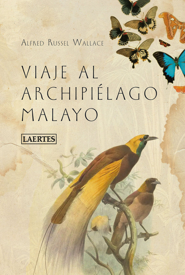 Viaje Al Archipielago Malayo