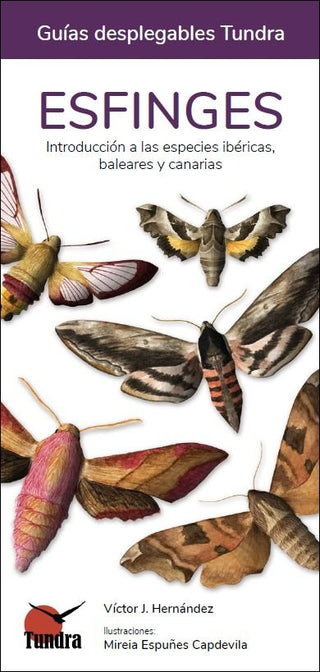 Esfinges - Guias Desplegables Tundra