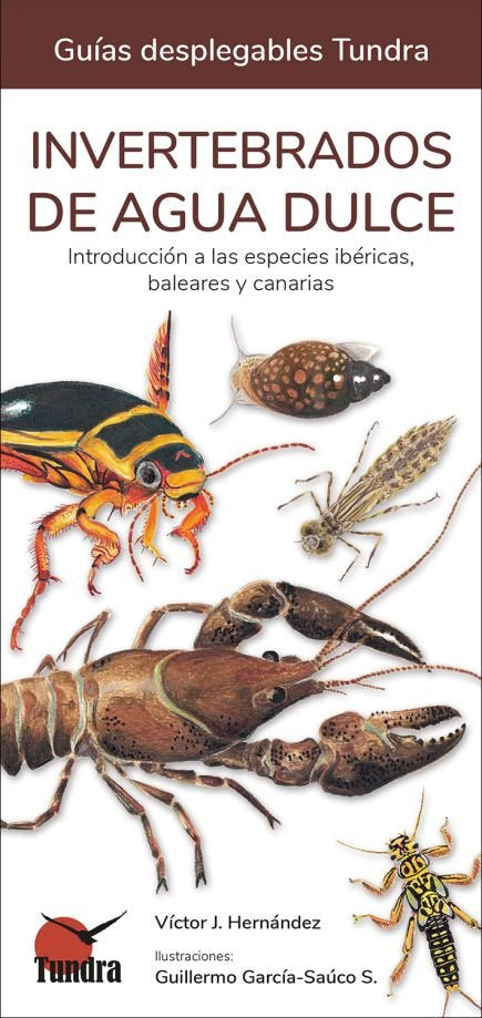 Invertebrados De Agua Dulce