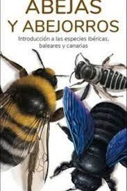 Abejas Y Abejorros