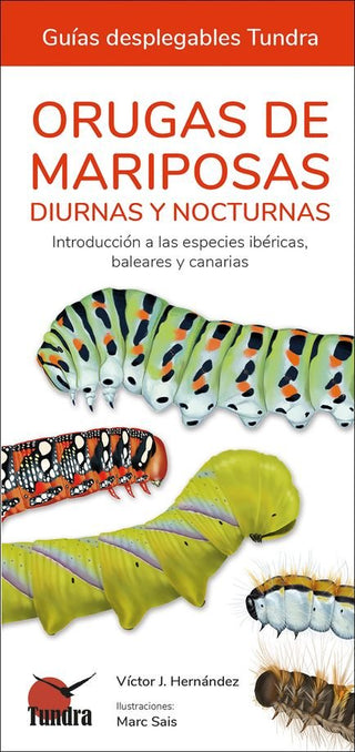 Orugas De Mariposas - Guias Desplegables Tundra