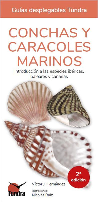 Conchas Y Caracoles Marinos - Guias Desplegables Tundra