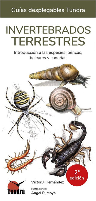 Invertebrados Terrestres - Guias Desplegables Tundra