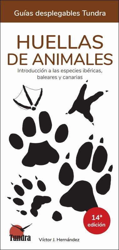 Huellas De Animales 14º Edicion - Guias Desplegables Tundra