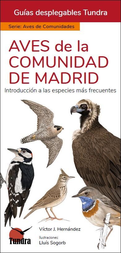 Aves De La Comunidad De Madrid