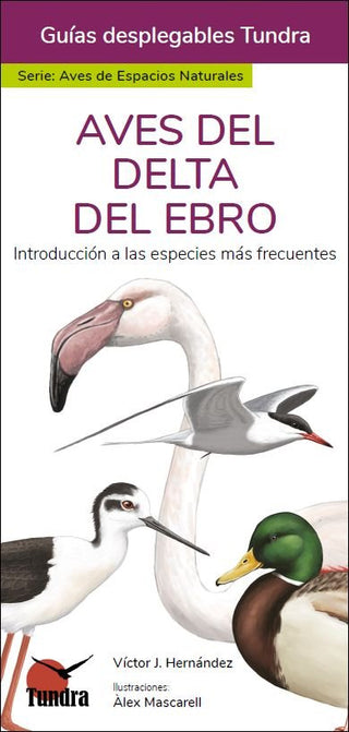 Aves Del Delta Del Ebro