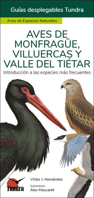 Aves De Mofrague Villuercas Y Valle Del Tietar