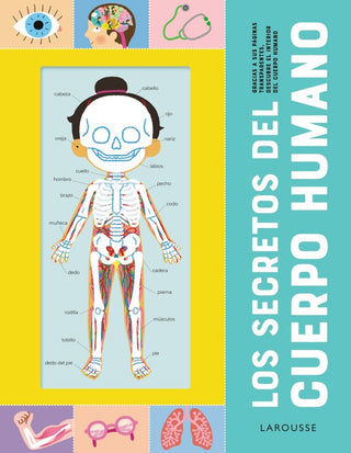 Los Secretos Del Cuerpo Humano