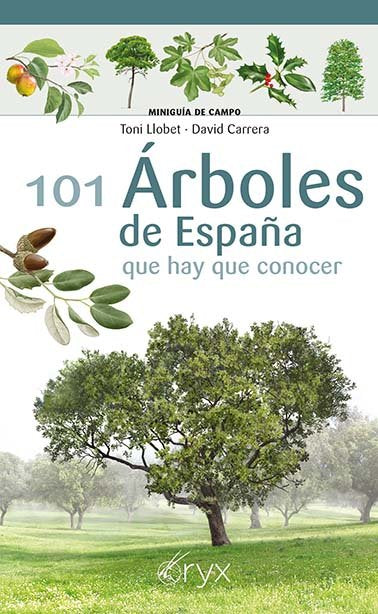 101 Arboles De España Que Hay De Conocer