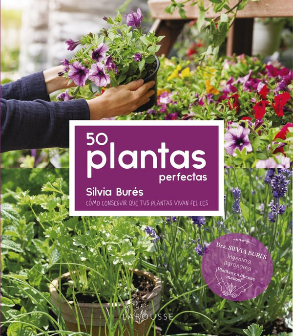 50 Plantas Perfectas