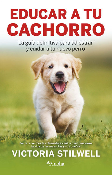 Como Educar A Tu Cachorro