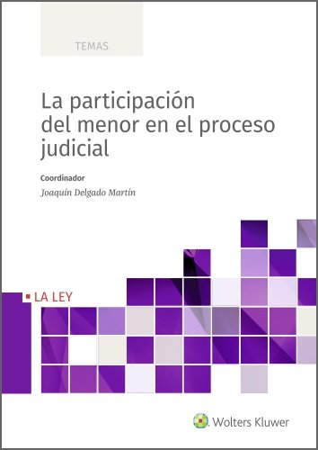 La Participacion Del Menor En El Proceso Judicial