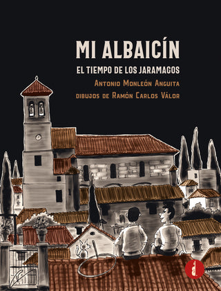 Mi Albaicín