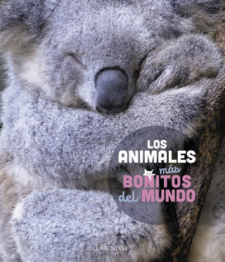 Los Animales Mas Bonitos Del Mundo