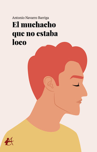 El Muchacho Que No Estaba Loco
