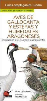 Aves De Gallocanta Y Estepas Y Humedales Aragoneses