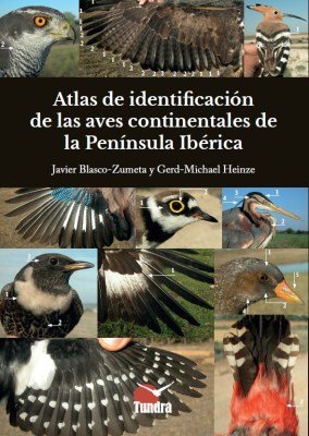 Atlas De Identificacion De Las Aves Continentales Peninsula