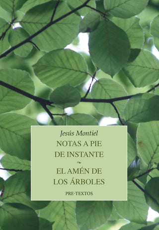 Notas A Pie De Instante El Amen De Los Arboles