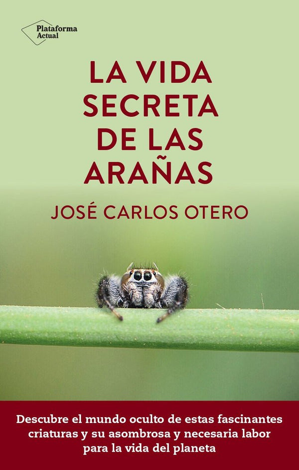 La Vida Secreta De Las Arañas