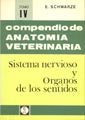 Compendio De Anatomía Veterinaria