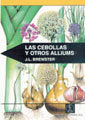 Las Cebollas Y Otros Alliums