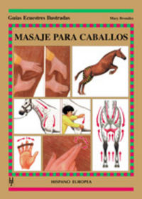 Masaje Para Caballos