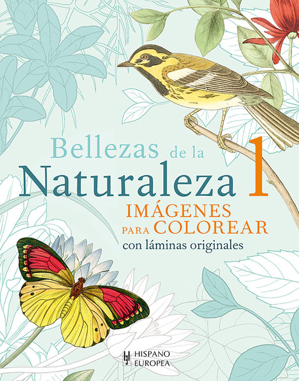 Bellezas De La Naturaleza 1