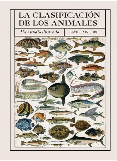 La Clasificacion De Los Animales