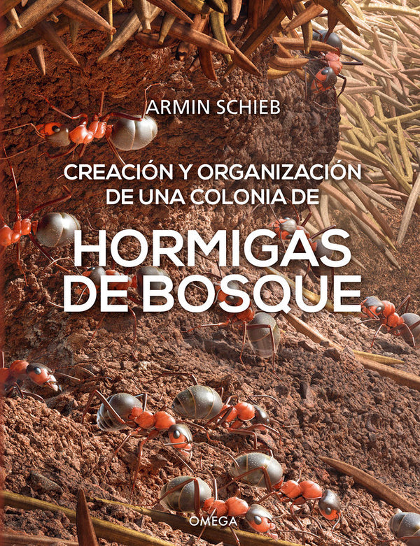 Hormigas De Bosque