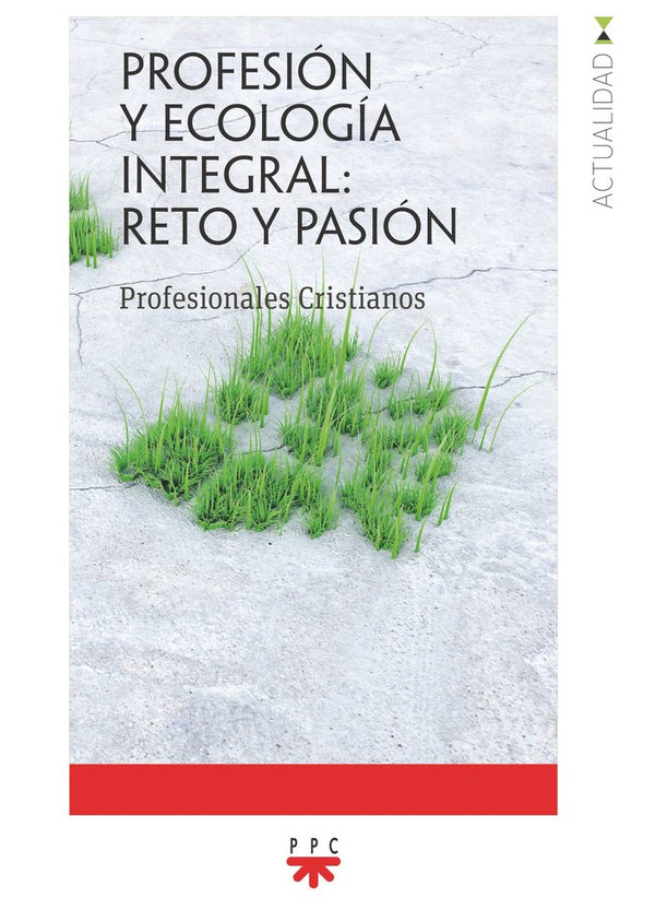 Profesion Y Ecologia Integral Reto Y Pasion