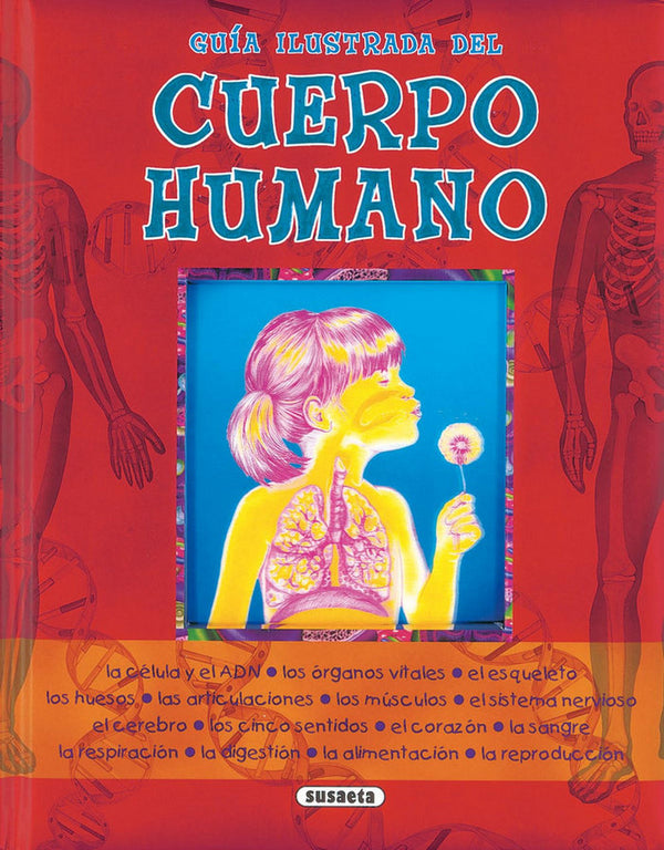 Guía Ilustrada Del Cuerpo Humano