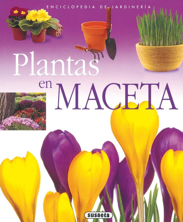 Plantas En Maceta