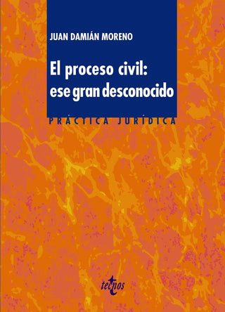 El Proceso Civil: Ese Gran Desconocido