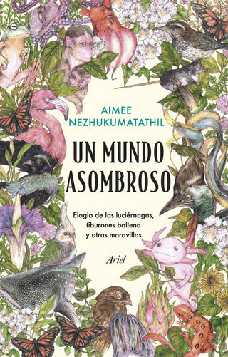 Un Mundo De Maravillas