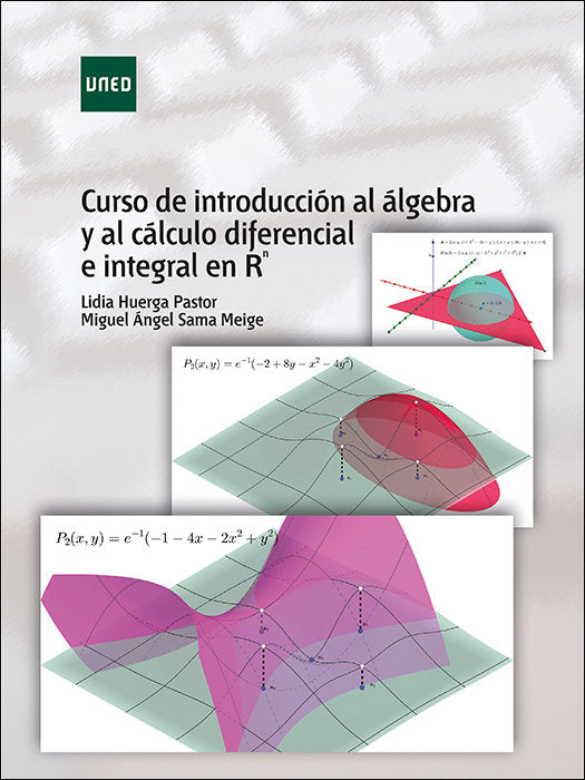 Curso De Introducción Al Álgebra Y Al Cálculo Diferencial E Integral En R^N