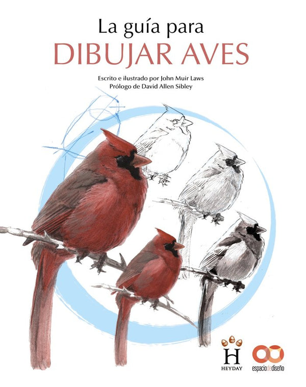 La Guia Para Dibujar Aves