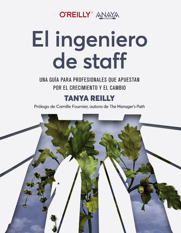 El Ingeniero De Staff Una Guia Para Profesionales Que Apues